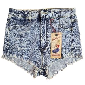 Judy Blue Distress Shorts